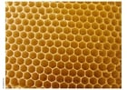 Fotos colméia e favo de abelhas