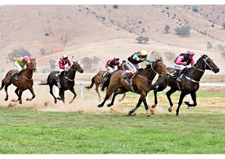 Foto corrida de cavalaos