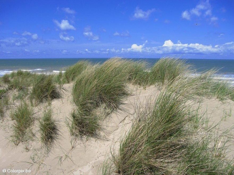 Foto dunas e o mar