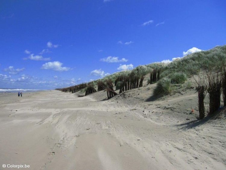 Foto dunas na costa