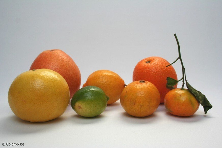 Foto frutas cÃ­tricas