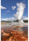 Fotos gêiser em erupção, Yellowstone National Park, Wyoming, USA