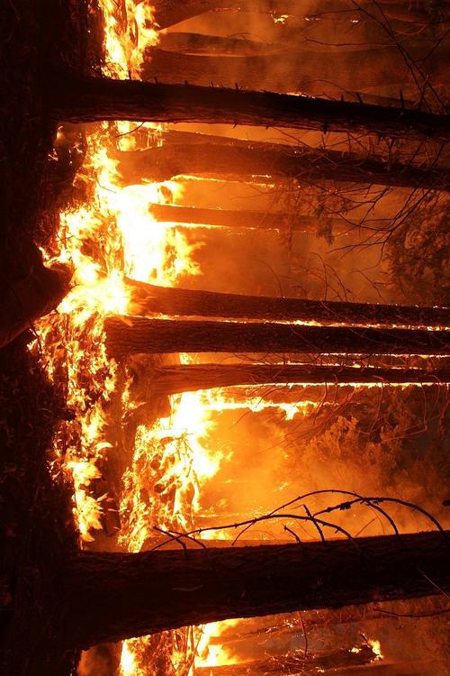 incÃªndio florestal
