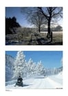 Fotos inverno 1
