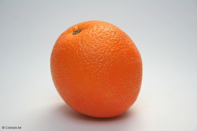 Foto laranja