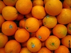 Fotos laranjas