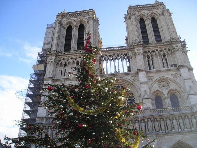 Foto Notre-Dame no Natal em Paris