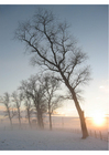 Fotos paisagem de inverno