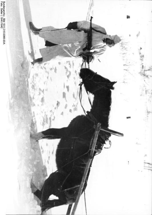 Russia - soldado com o cavalo no inverno 