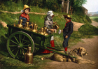 Fotos vendedores de leita com charrete - 1890 Bélgica 
