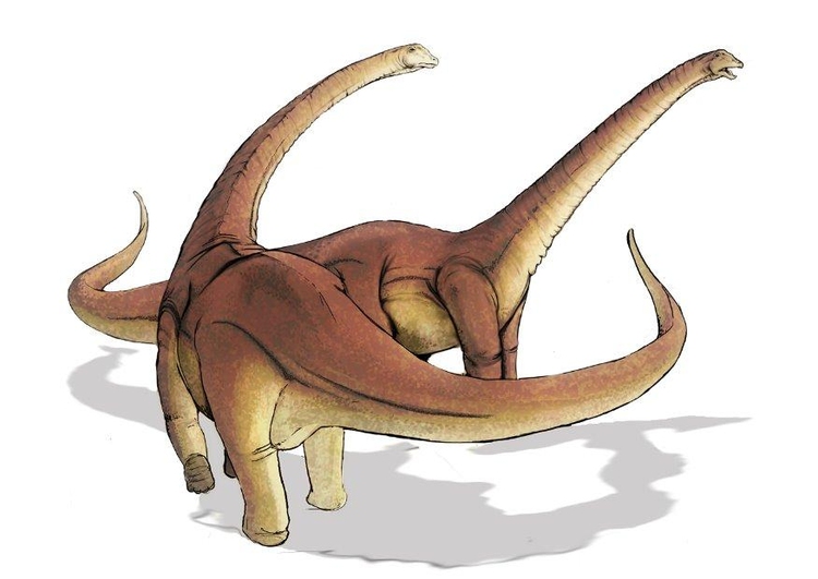 imagem alamosaurus