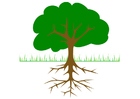 imagem árvore com as raízes 