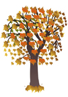 imagem árvore no outono