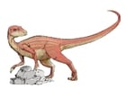 dinossauro abrictosaurus