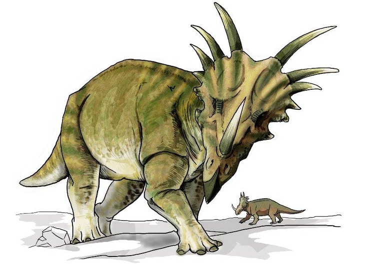 imagem dinossauro estiracossauro