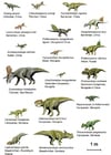 imagem dinossauros (basal ceratopsia)