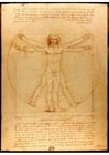 imagem Leonardo da Vinci - Homem Vitruviano