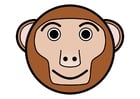 imagem r1 - macaco