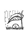 a joaninha se protege da chuva