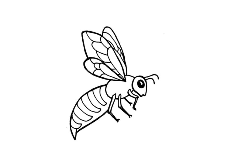 Página para colorir abelha 