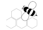 P�ginas para colorir abelha - parte de trás 