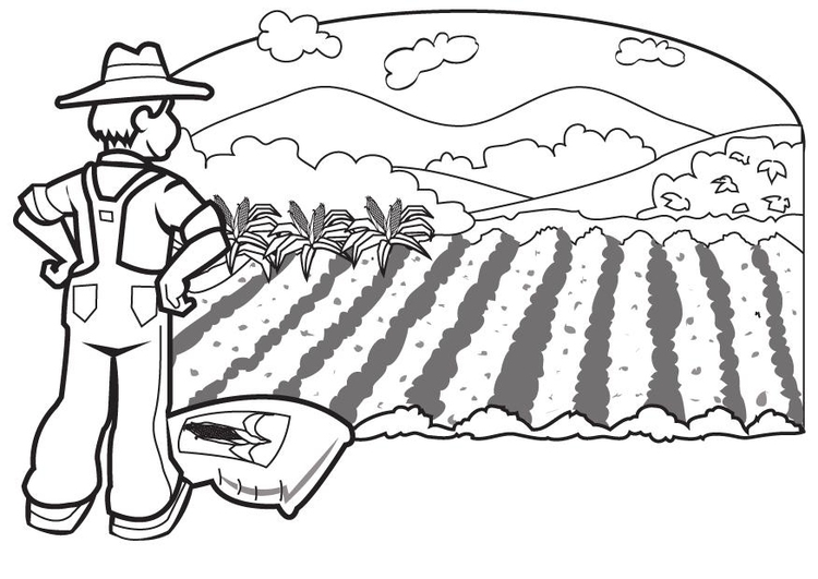 Página para colorir agricultor