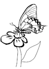 P�ginas para colorir borboleta na flor