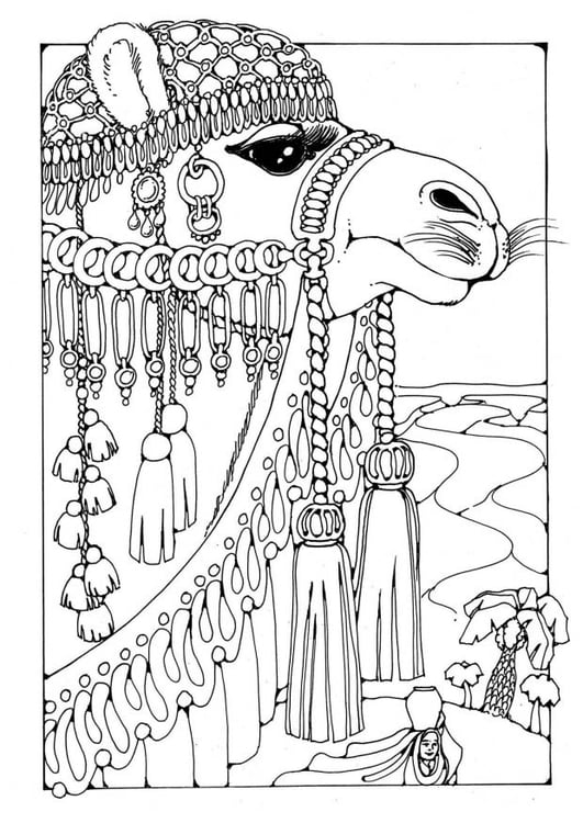 Página para colorir camelos