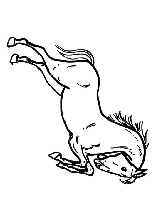 cavalo empinando