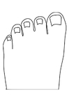 P�ginas para colorir dedos dos pés