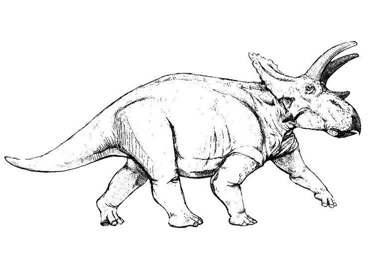 Página para colorir dinossauro anchiceratops 