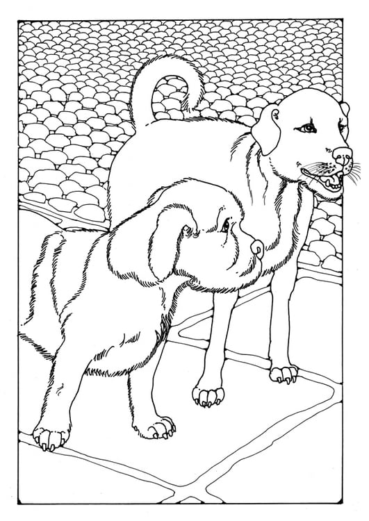Página para colorir dois cachorros 