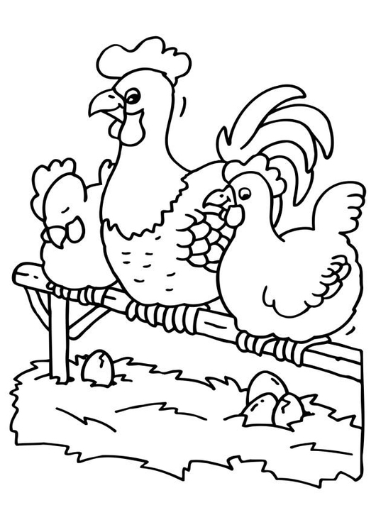 Página para colorir galo e galinhas 