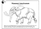 P�ginas para colorir mamute americano 