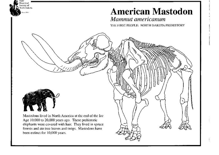 Página para colorir mastodonte 