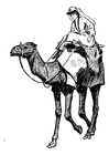 P�ginas para colorir mulher no camelo