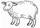 P�ginas para colorir ovelha