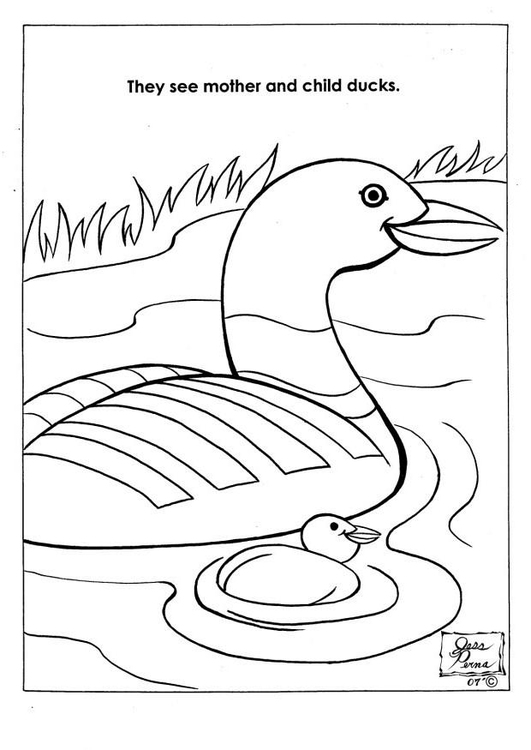 Página para colorir patos em parque natural