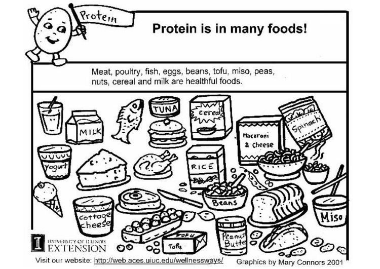 Página para colorir proteÃ­nas nos alimentos