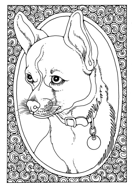 retrato de cachorro 