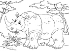 P�ginas para colorir rinoceronte 