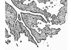 P�ginas para colorir rio Delta 