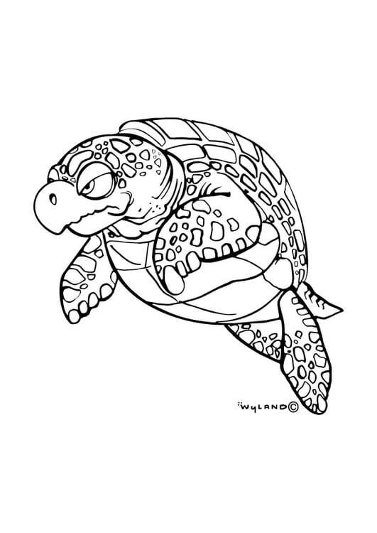 Página para colorir tartaruga marinha