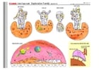 Knutselen famÃ­lia espacial parte 5