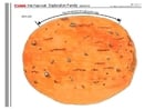 família espacial parte 6