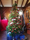 Foto árvore de natal