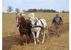 Fotos agricultor