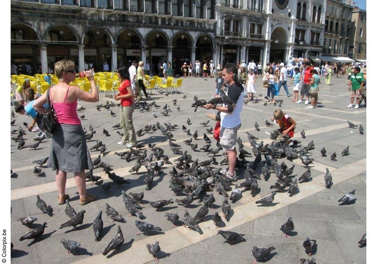Foto alimentando os pombos na PraÃ§a de SÃ£o Marcos