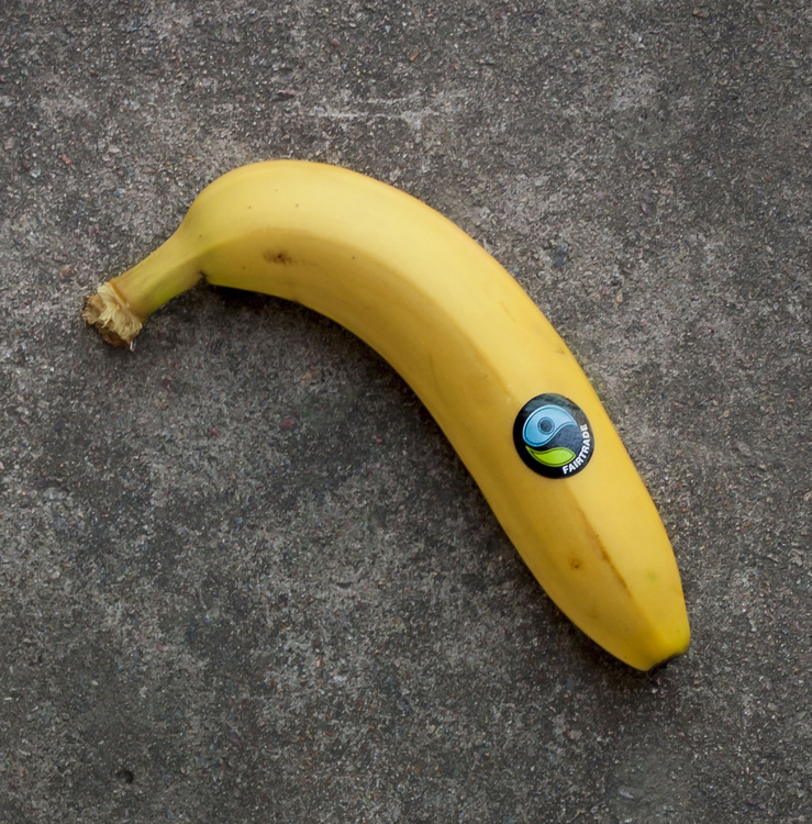 Foto banana de comÃ©rcio justo