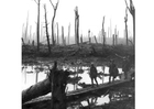 foto campo de batalha na primeira guerra mundial